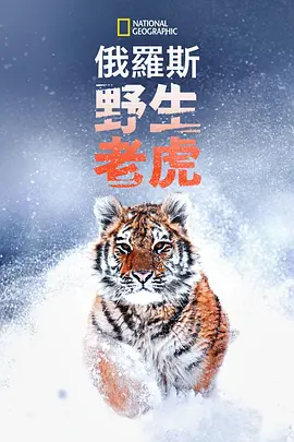 无码新新