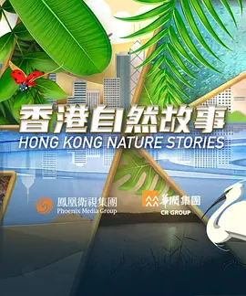 亚洲美女丝袜在线播放